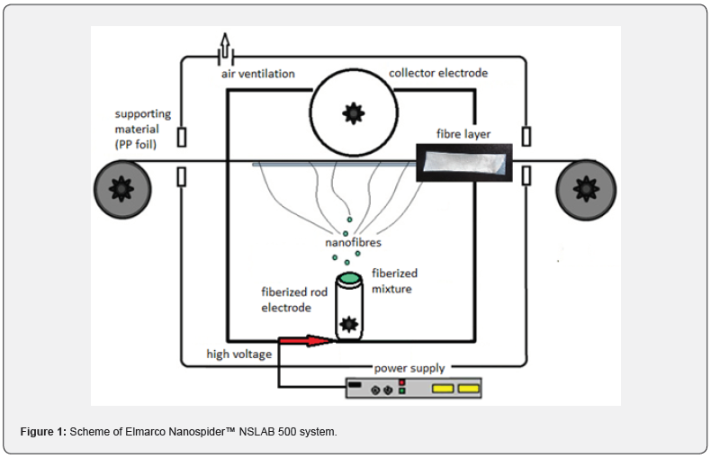 Click here to view Large Figure 1