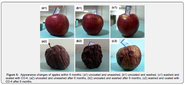 Click here to view Large Figure