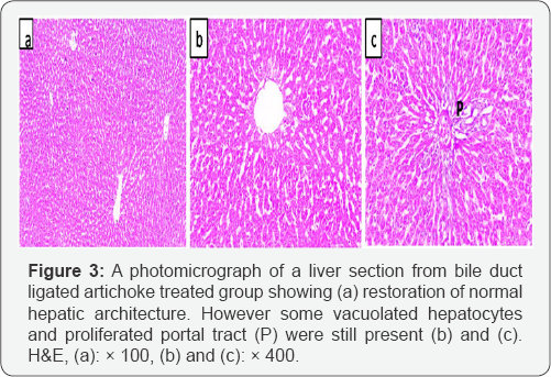 Click here to view Large Figure 3