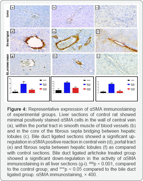 Click here to view Large Figure 4