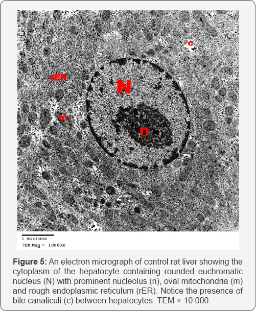 Click here to view Large Figure 5