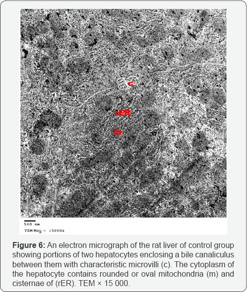 Click here to view Large Figure 6