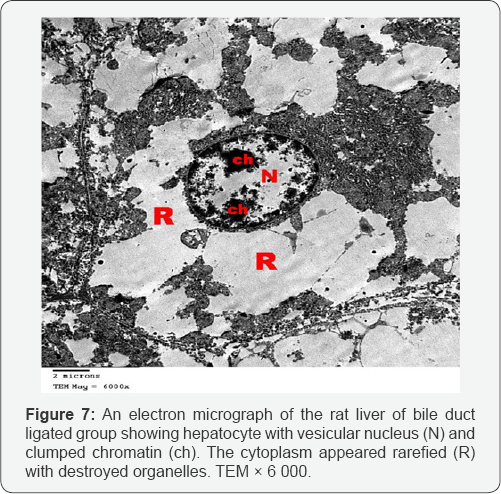 Click here to view Large Figure 7
