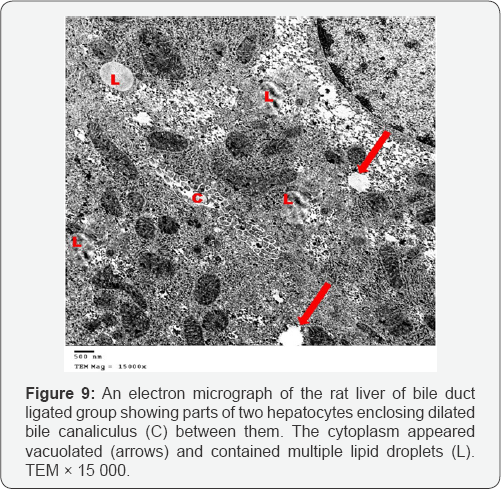 Click here to view Large Figure 9