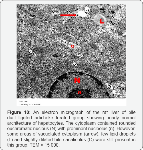 Click here to view Large Figure 10