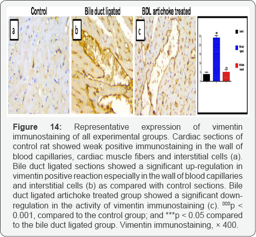 Click here to view Large Figure 14