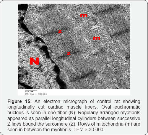 Click here to view Large Figure 15