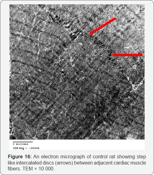 Click here to view Large Figure 16