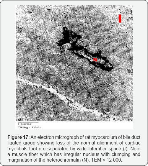 Click here to view Large Figure 17