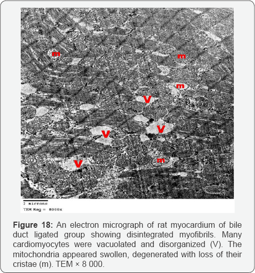 Click here to view Large Figure 18