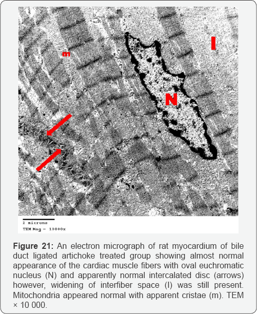 Click here to view Large Figure 21