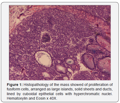 Click here to view Large Figure 1