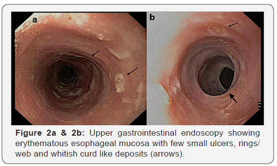 Click here to view Large Figure 2