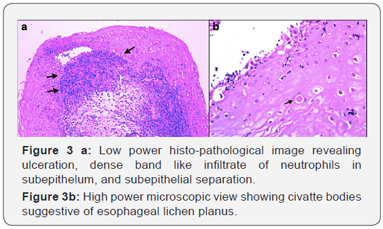 Click here to view Large Figure 3