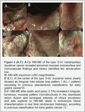 Click here to view Large Figure 2
