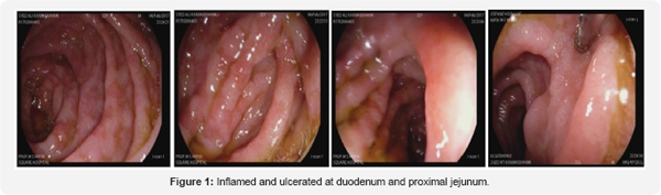 Click here to view Large Figure 1