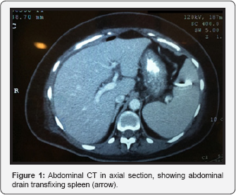 Click here to view Large Figure 1