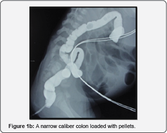 Click here to view Large Figure 2