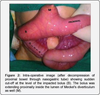 Click here to view Large Figure 3