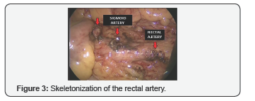 Click here to view Large Figure 3
