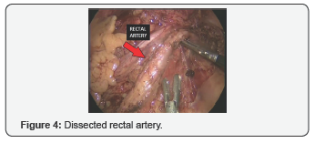 Click here to view Large Figure 4