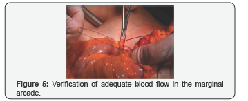 Click here to view Large Figure 5