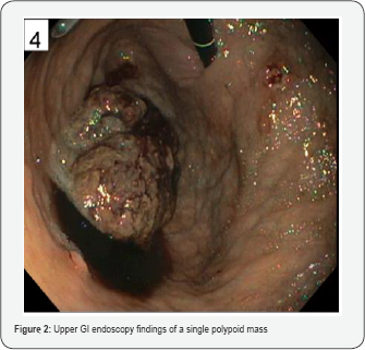 Click here to view Large Figure 2