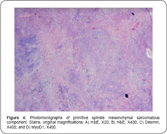 Click here to view Large Figure 4b