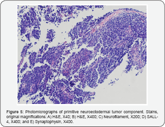 Click here to view Large Figure 5