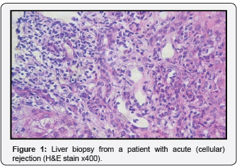 Click here to view Large Figure 1