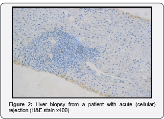 Click here to view Large Figure 2