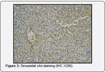 Click here to view Large Figure 3