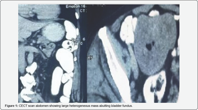 Click here to view Large Figure 1