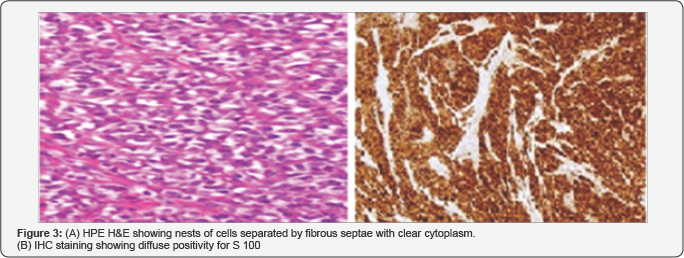 Click here to view Large Figure 3