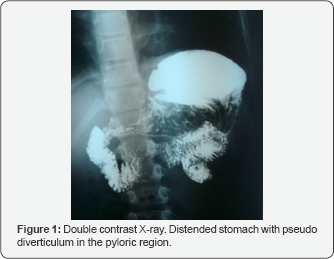 Click here to view Large Figure 1