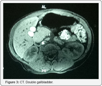 Click here to view Large Figure 3