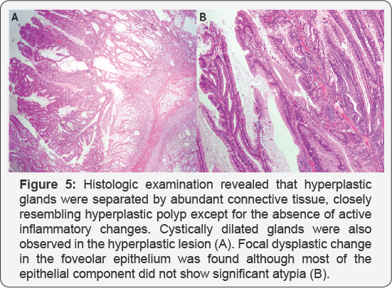 Click here to view Large Figure 5