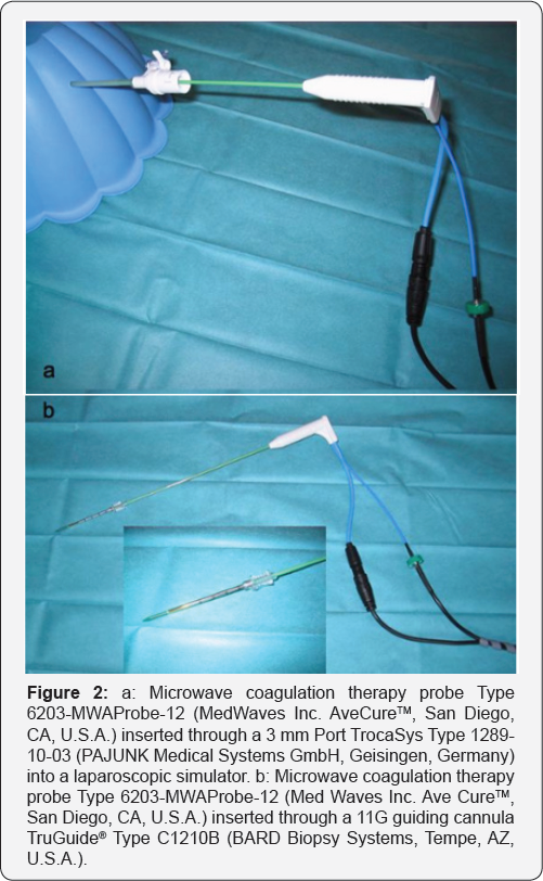 Click here to view Large Figure 2