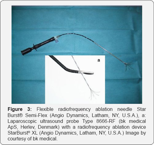 Click here to view Large Figure 3