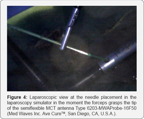 Click here to view Large Figure 4