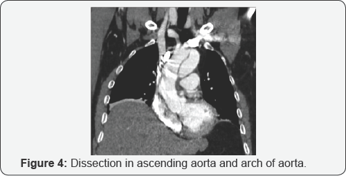 Click here to view Large Table 1