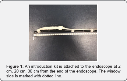 Click here to view Large Figure 1