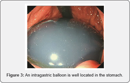 Click here to view Large Figure 3