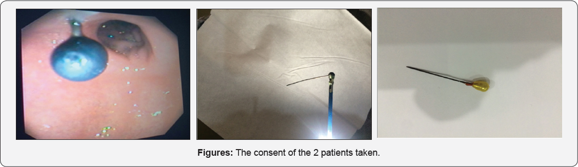 Click here to view Large Figure 1