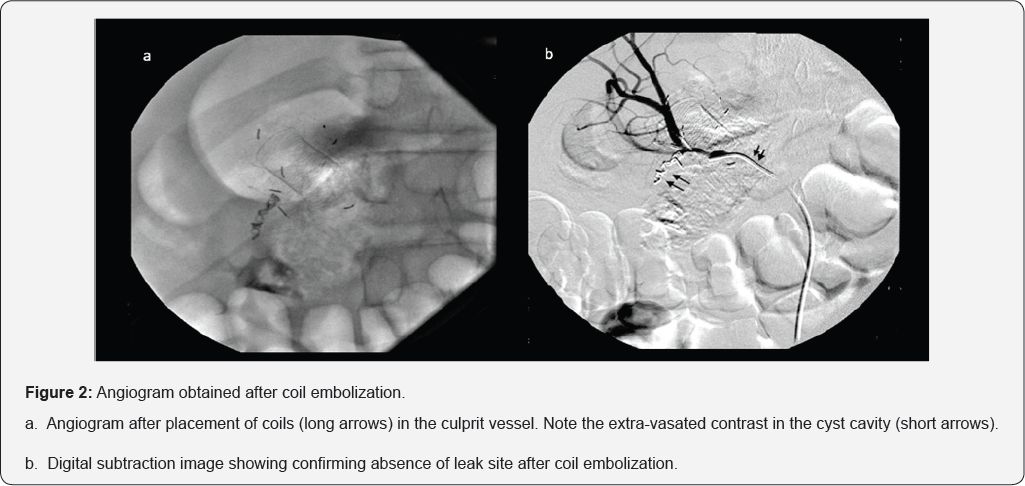 Click here to view Large Figure 2