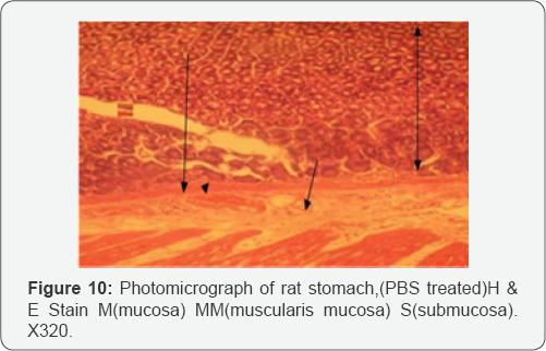 Click here to view Large Figure 1