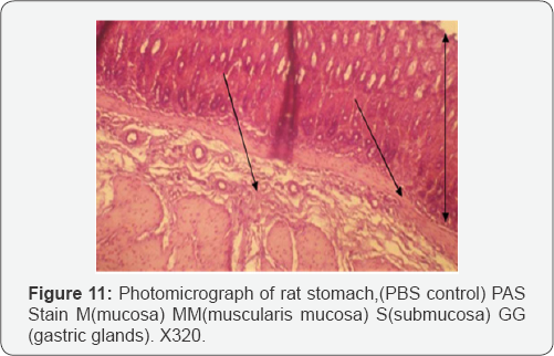 Click here to view Large Figure 1