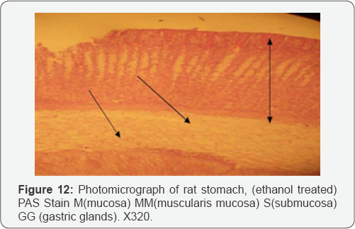 Click here to view Large Figure 1