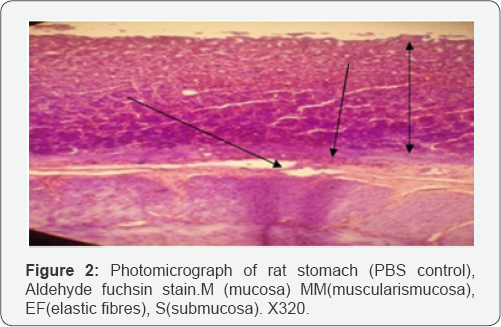 Click here to view Large Figure 1