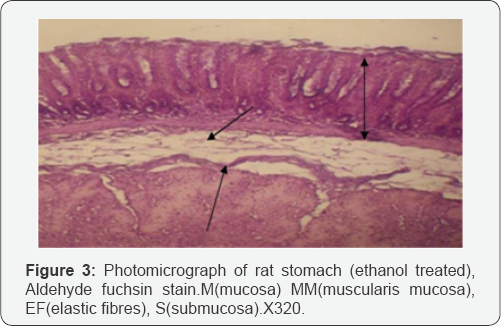 Click here to view Large Figure 1